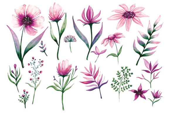 Download Floral Design Elements in Watercolor - Floral design Collection