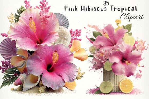 Download Pink Hibiscus Tropical Clipart - Premium Resources