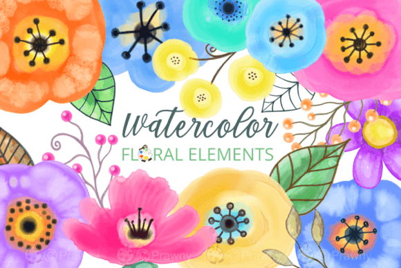 Download Watercolor Floral Design Elements - Floral design Collection
