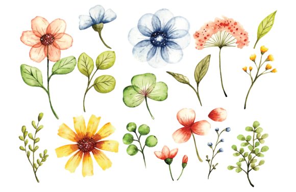 Download Floral Design Elements in Watercolor - Floral design Collection