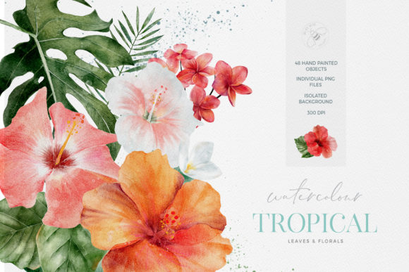 Download Tropical Flowers Leaves Watercolor - Tropical flowers Collection