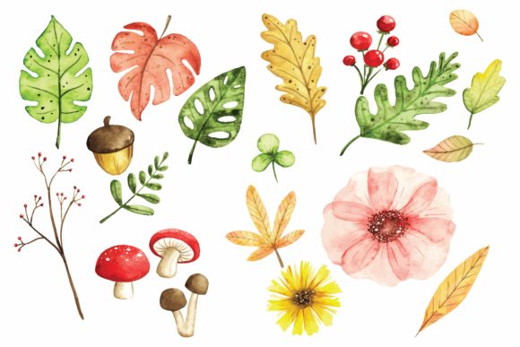 Download Floral Design Elements in Watercolor - Floral design Collection