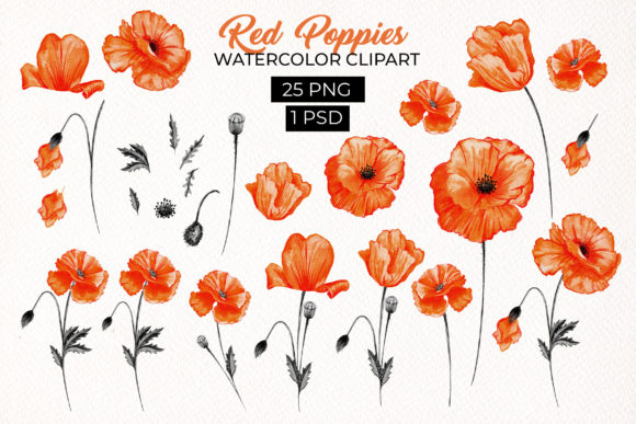 Download Red Poppies Floral Design Elements - Floral design Collection